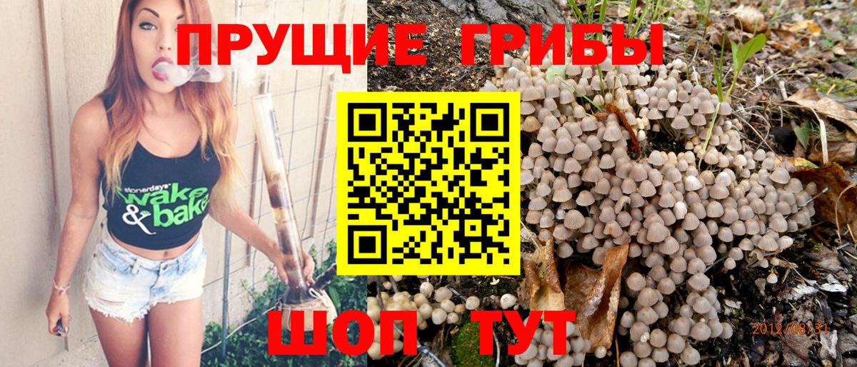 Псилоцибиновые грибы прущие грибы Азнакаево