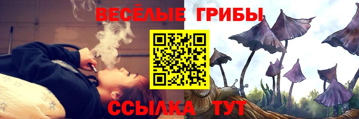 Галлюциногенные грибы прущие грибы  Вход с VPN  Азнакаево 